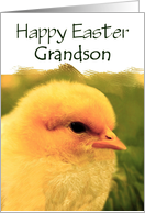 Grandson Happy Easter - Cute Yellow Easter Chick card