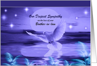 Loss of Brother-in-Law / Our Deepest Sympathy - Dove Over Water card