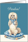 I’m sorry in Turkish, Pardon, Vintage Dog on Blue Tufted Cushion card