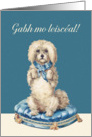 I’m sorry in Irish Gaelic, Gabh mo leisca, Sweet Vintage Dog card