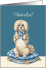 I’m sorry in Finnish, Anteeksi, Sweet Vintage Dog card