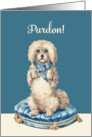 I’m sorry in Czech, Pardon, Sweet Vintage Dog card