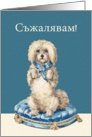 I’m sorry in Bulgarian, Sweet Vintage Dog card