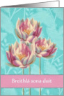 Happy Birthday in Irish Gaelic, Breithl sona duit, Water Lilies, card