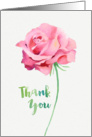 Thank You, Pink Rose, Watercolor Painting card