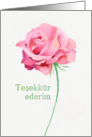 Thank you in Turkish, Watercolor Pink Rose card
