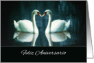 Happy Wedding Anniversary in Spanish, Feliz Aniversario, Swans card