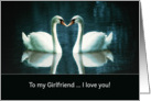 To my Girlfriend, I love you, two Swans card