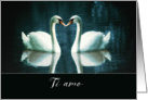 I love you in Italian, Ti amo, two Swans card