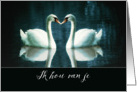 I love you in Dutch, Ik hou van je, two Swans card