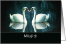 I love you in Czech, two Swans card