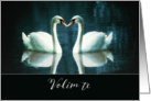 I love you in Bosnian, Volim te, two Swans card