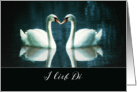 I love you in Bavarian, I lieb Di, two Swans card