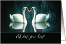 I love you in Afrikaans, Ek het jou lief, two Swans card