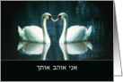 I love you in Hebrew, Male adressing a Female, two Swans card