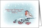 Customizable Christmas Card, Robin, Berries, Painting card