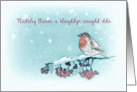 Merry Christmas in Welsh, Nadolig Llawen, Robin, Berries, Painting card