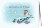 Merry Christmas in Irish Gaelic, Robin, Berries, Painting card
