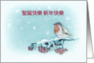 Merry Christmas in Chinese, Robin, Berries, Painting card