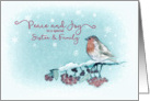 Peace and Joy to a special Sister and Family, Christmas Card, Robin card