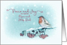 Peace and Joy to my Mom and Step Dad, Christmas Card, Robin card