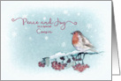 Peace and Joy, Cousin, Christmas Card, Robin card