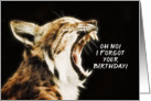 Oh No, I forgot your Birthday, Distressed Cat card