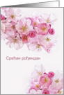 Happy Birthday in Serbian, Blossoms card