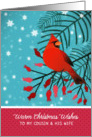 To my Cousin and his Wife, Warm Christmas Wishes, Cardinal, Berries card