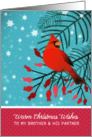 Brother and his Partner, Warm Christmas Wishes, Cardinal, Berries card