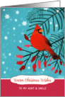 To my Aunt and Uncle, Warm Christmas Wishes, Cardinal, Berries card