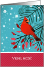 Merry Christmas in Slovenian, Cardinal Bird card