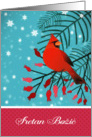 Merry Christmas in Bosnian, Cardinal Bird card