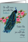 Christian Encouragement, Psalm 91:4, Peacock card