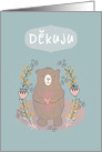 Thank You in Czech, Cute Bear, Illustration card