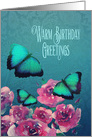 Warm Birthday Greetings, Christian, Scripture, Butterflies, Flowers card