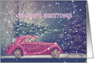 Season’s Greetings, Dog driving Old-timer, Christmas, Snow card