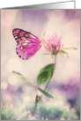 Blank Note Card, Butterfly, Flower, Clover, Bokeh Light card