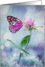 Blank Note Card, Butterfly, Flower, Clover, Bokeh Light, Blue card