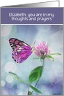 Customizable, Thinking of You, Christian, Butterfly and Flower card