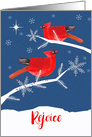 Rejoice, Christian Christmas Card, Cardinals, Luke 2:10 card