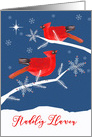 Merry Christmas in Welsh, Nadolig Llawen, Red Birds, Snowflakes card