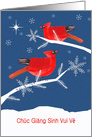 Merry Christmas in Vietnamese, Red Cardinal Birds, Snowflakes card