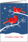 Merry Christmas in Turkish, Red Cardinal Birds, Snowflakes card