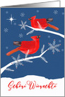 Merry Christmas in Swiss German, Red Cardinal Birds, Snowflakes card