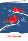 Merry Christmas in Spanish, Feliz Navidad, Red Cardinal Birds card