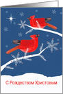 Merry Christmas in Russian, Red Cardinal Birds card
