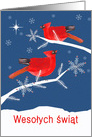 Merry Christmas in Polish, Red Cardinal Birds card