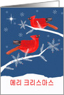 Merry Christmas in Korean, Red Cardinal Birds card