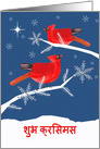 Christmas Greetings in Hindi, Cardinal Birds, Shining Star card